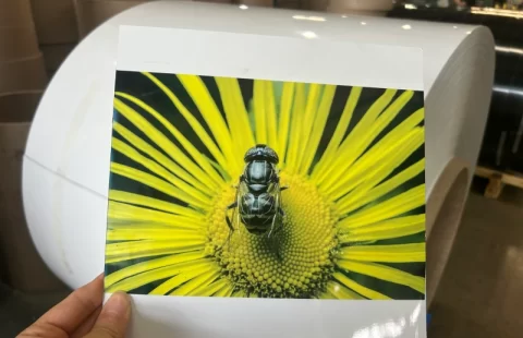 Placa A4 sublimable para impresión de fotos