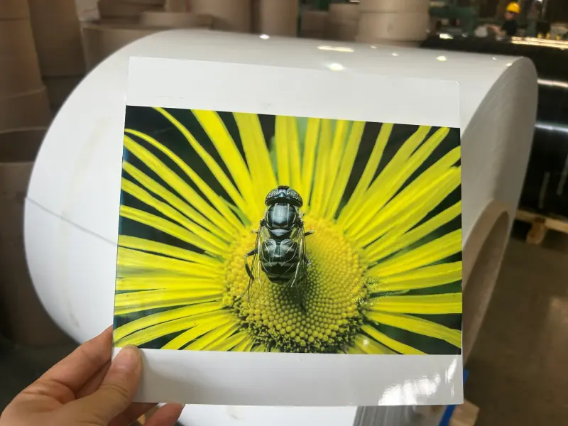 impresión o sublimación en aluminio dorado1
